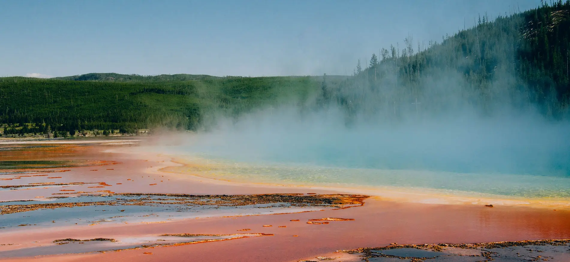 NATIONAL PARK SAFARIS
