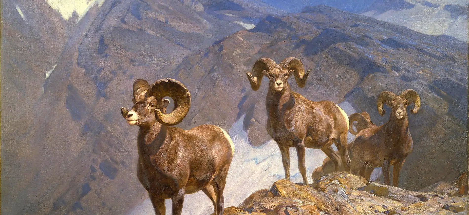NATIONAL WILDLIFE MUSEUM OF ART