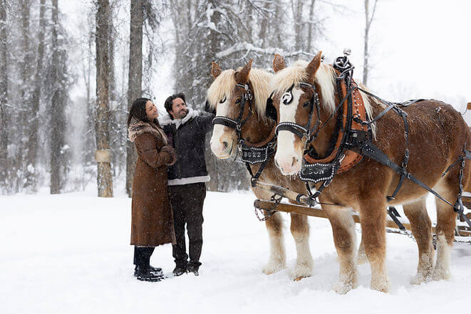 SLEIGH RIDES