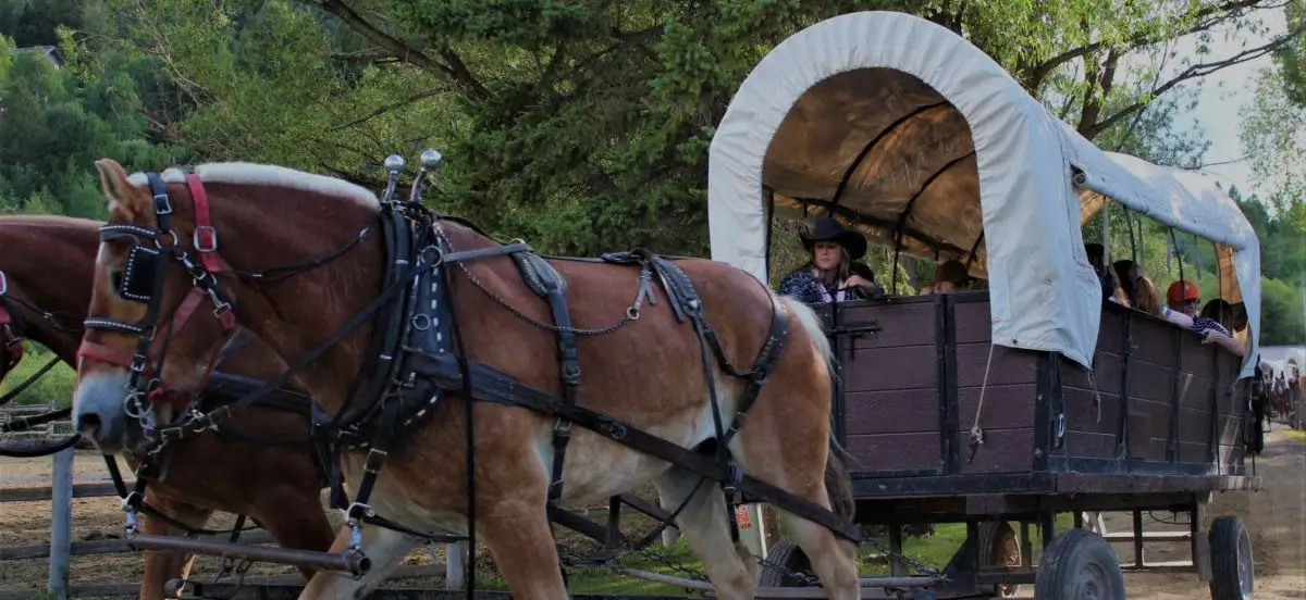 CHUCK WAGON DINNER